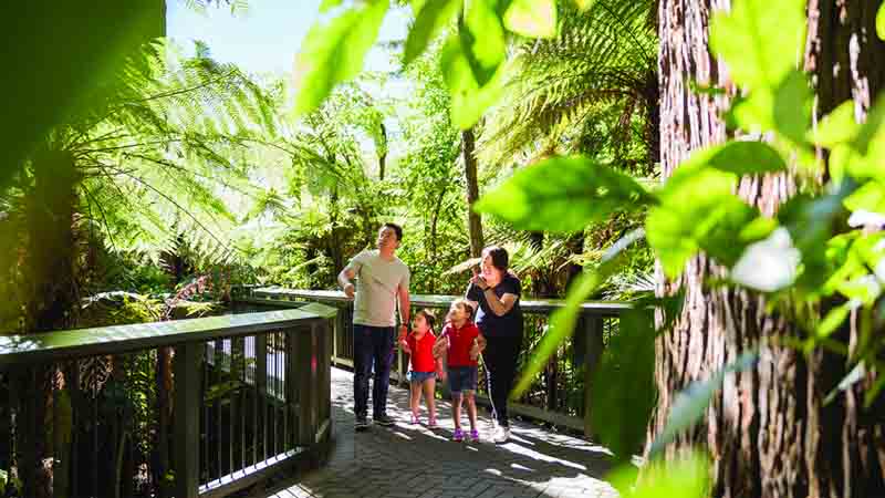 Get up close and personal to New Zealand’s best loved native animals and enjoy a fun day out with the kids at Rainbow Springs!